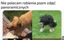 Lepsze są krzyżówki tego typu