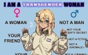 Platytrans