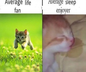 Ja to ten po prawej