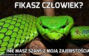 Fikasz człowiek?