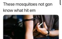 Szach mat komary