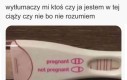 Zdania są podzielone