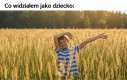 Nie znoszę kleszczy