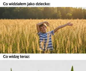 Nie znoszę kleszczy