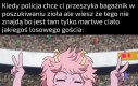 Tak