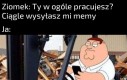 Owszem