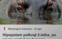 Zdarza się