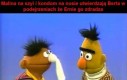 Podejrzliwy Bert