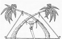 Samobójstwa zajączka: Zajączek i palmy