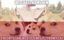 Kocham ten język