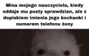Nie jest zadowolony