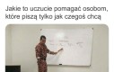 Żmije