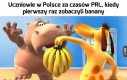 Jak to smakuje?
