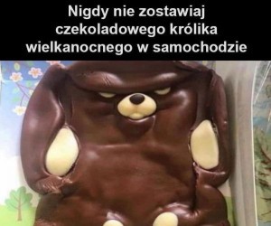 Wygląda groźnie