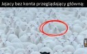 Ciekawe czy czasem patrzą w komentarze