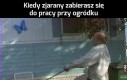 Zakładam plantację powietrza