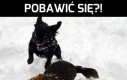 Pobawić się?!