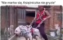 Połyka w całości