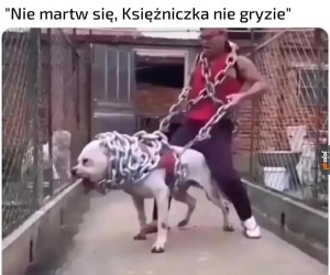 Połyka w całości