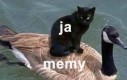 Dobrze że są