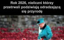 Ładne kwiatki
