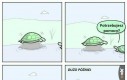 Żółwia pomoc
