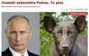 Znaleźli sobowtóra Putina