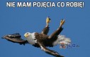 Nie mam pojęcia co robię!