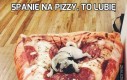 Spanie na pizzy, to lubię