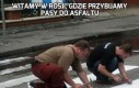 Witamy w Rosji, gdzie przybijamy pasy do asfaltu