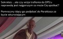 Sykuta sykuta napar z sera ze fiuta