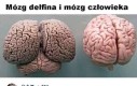 Wszystko jasne