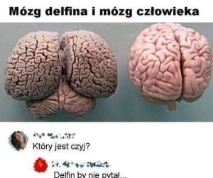 Wszystko jasne