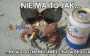 Nie ma to jak...