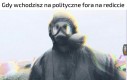 Tytuł z przerażeniem patrzy