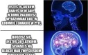 Co wybierasz?