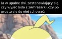 I tak oba chłodzą, więc na jedno wyjdzie