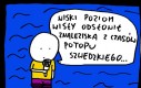 Niski poziom Wisły