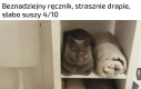 Nie polecam