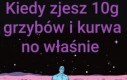 Kurcze fą