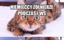 Pancerna Czekolada