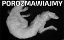 Porozmawiajmy