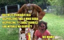 Oddawaj!