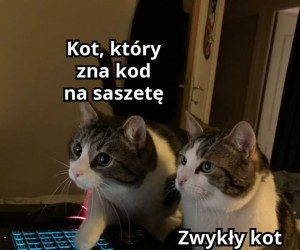 Cenna wiedza