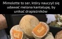Sprytna mimikra