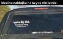 Kurde