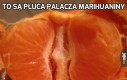 To są płuca palacza marihuaniny