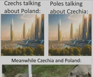 Lubimy się