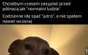 Sen, kochany sen