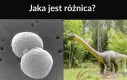 Nie to samo